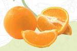 Valencis Orange