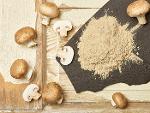 Champignon - getrocknete Champignon - Mushroom -...