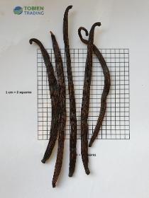 Vanilleschoten Loose Extraction Grade (Uganda)