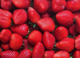TK Erdbeeren: Premium Erdbeeren, gewürfelt und geschnitten, ganze Erdbeeren (unkalibriert und nach Größe sortiert)
