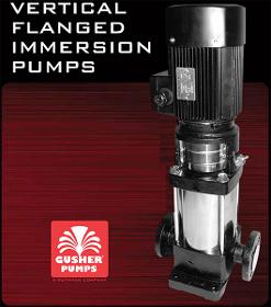 Vertical flanged immersion pumps