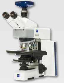 Axio Scope.A1 Mikroskop