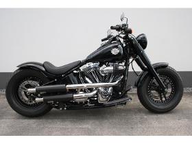 Harley-Davidson Chopper/Cruiser