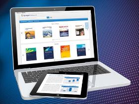Digitale Fachbibliothek: Springer Professional "Wirtschaft"